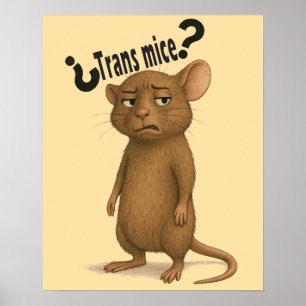 Póster Un ratón confundido por una declaración tonta