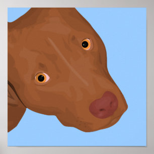 Póster Un retrato lindo del pitbull haciendo estallar