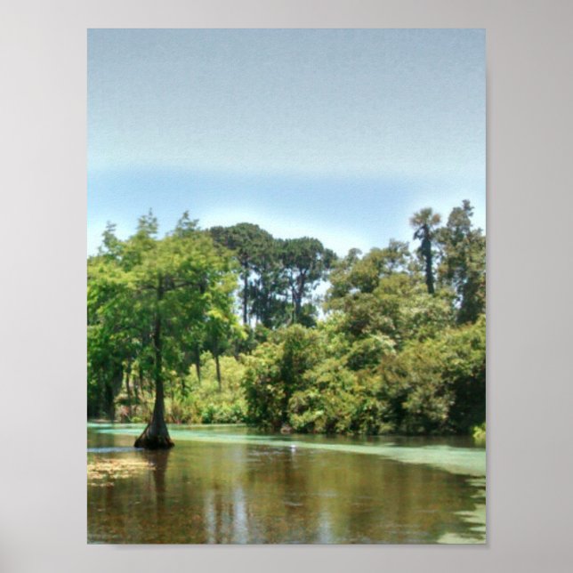 Póster Un río de primavera en Weeki Wachee Florida (Frente)