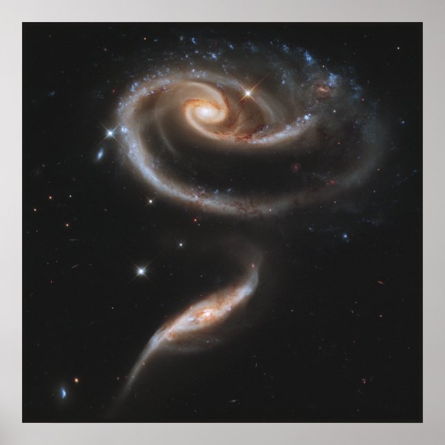 Póster Un Rosa hecho de galaxias (Frente)