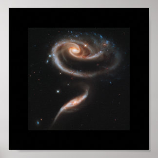 Póster Un Rosa Hecho De Galaxias - Telescopio Espacial Hu