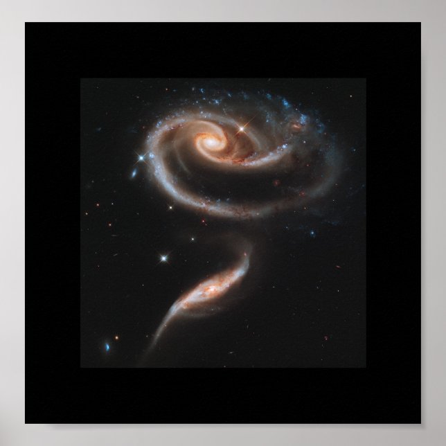 Póster Un Rosa Hecho De Galaxias - Telescopio Espacial Hu (Frente)