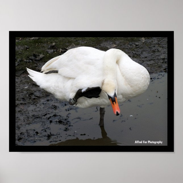 Póster Un saludo elegante (Frente)