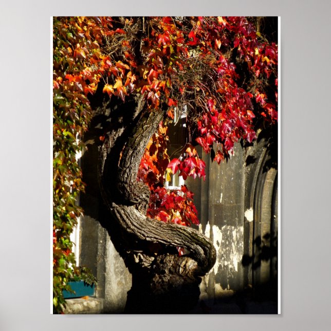 Póster Un Ser Antiguo (Frente)