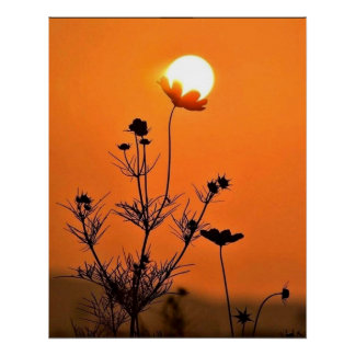 Póster Un sol - Flor besa