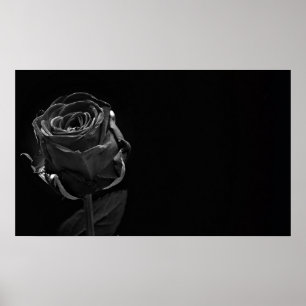 Póster Un solo Rosa negro