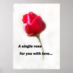 Póster Un solo rosa para ti con amor...