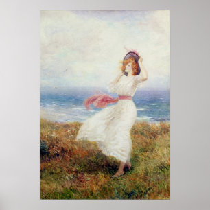 Póster Un soplo en los acantilados