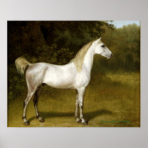 Póster Un Stallion árabe en un paisaje - Jacques-Laurent