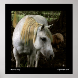 Póster Un suave Poster del viejo alma