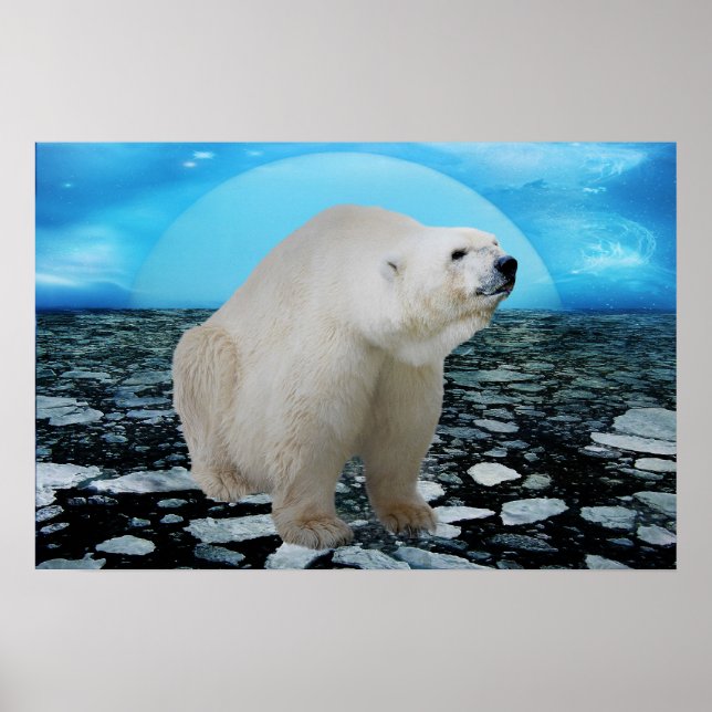 Póster Un tiempo de osos polares (Frente)