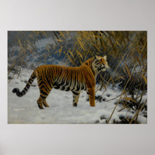 Póster Un tigre merodeando en la nieve, de Hugo Ungewitte