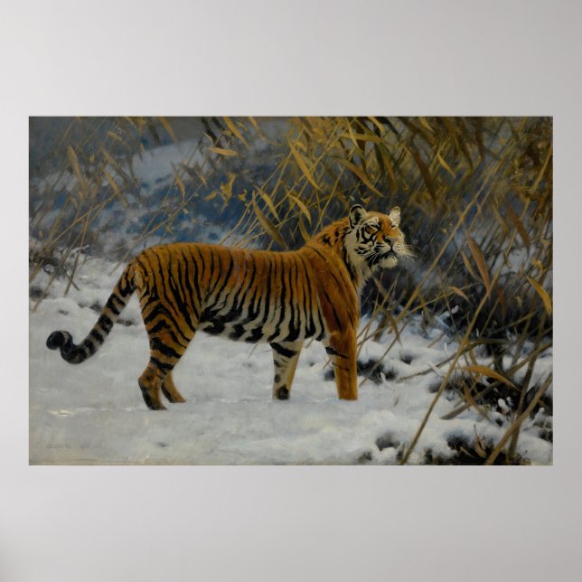 Póster Un tigre merodeando en la nieve, de Hugo Ungewitte (Frente)