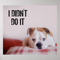 Un tímido Bulldog inglés