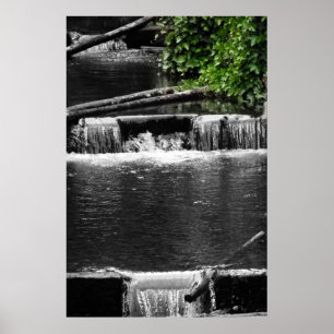 Póster Un toque de verde