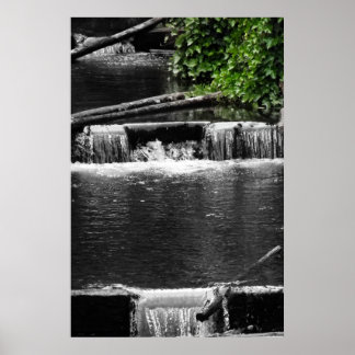 Póster Un toque de verde