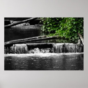 Póster Un toque de verde