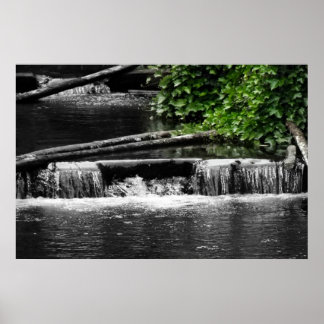 Póster Un toque de verde