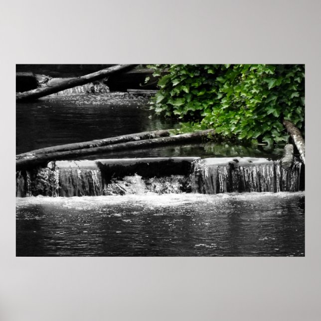 Póster Un toque de verde (Frente)