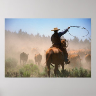 Póster Un vaquero trabajando con el rebaño en una manada