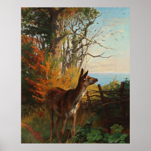 Póster Un Venado Cuto En El Bosque
