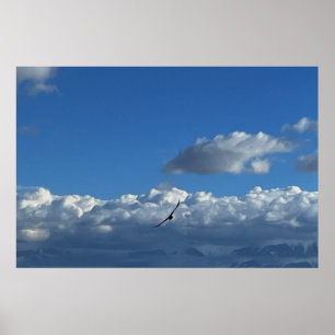 Póster Un vuelo bajo las nubes