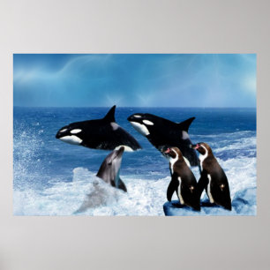 Póster Una ballena de un mundo