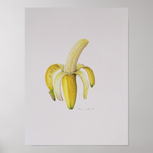 Póster Una banana de medio tamaño en 1997 (Frente)