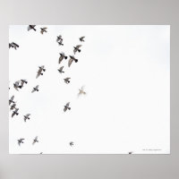 Una bandada de pájaros está volando en el cielo