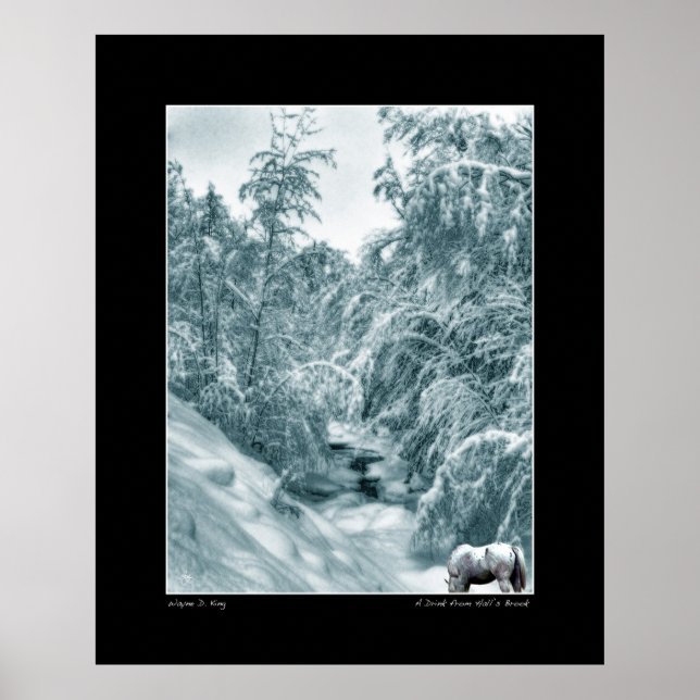 Póster Una bebida de Hall's Brook - Poster Bella Artes (Frente)