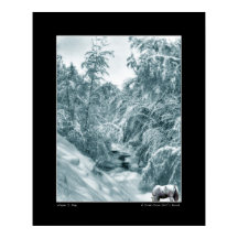 Una bebida de Hall's Brook - Poster Bella Artes