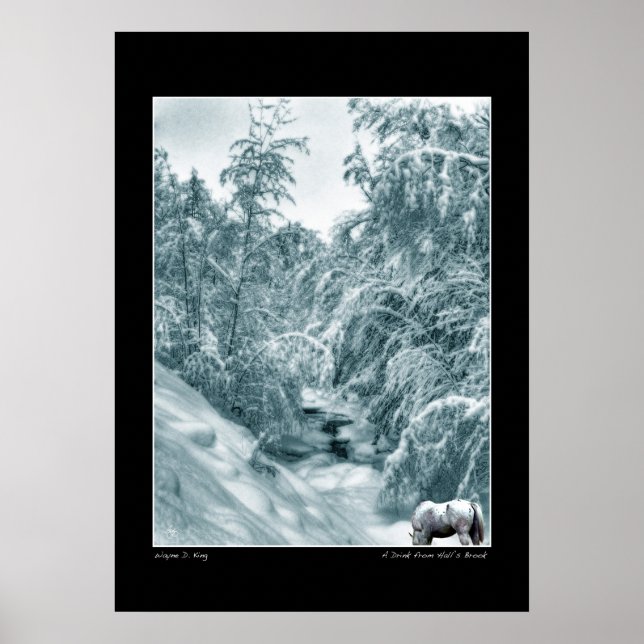 Póster Una bebida del Poster de Halls Brook (Frente)