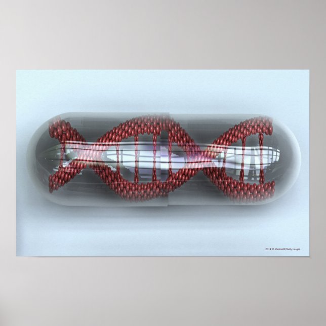 Póster Una cadena de ADN en una cápsula (Frente)