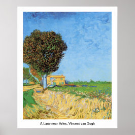 Póster Una calle cerca de Arles, Vincent van Gogh.