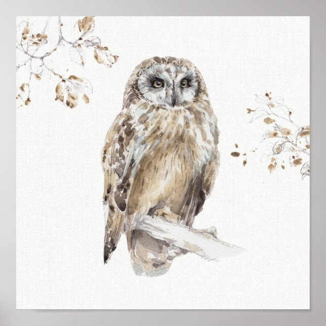 Póster Una caminata de bosques VIII (Frente)