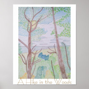 Póster Una caminata en el bosque