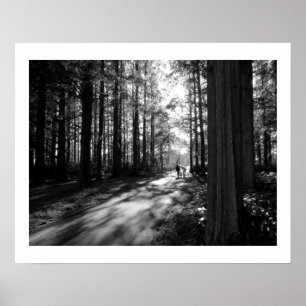 Póster Una caminata por el bosque: Parque Mizumoto, Tokio