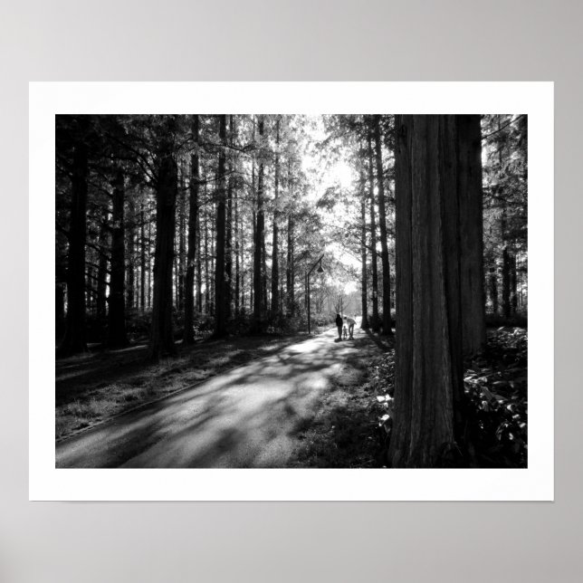 Póster Una caminata por el bosque: Parque Mizumoto, Tokio (Frente)