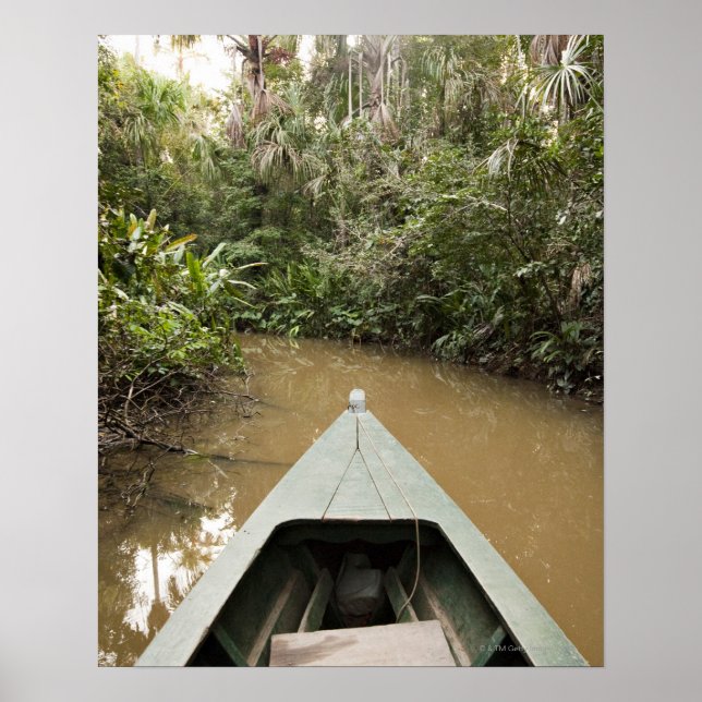 Póster Una canoa de madera hecha de árboles de Eucylptus  (Frente)