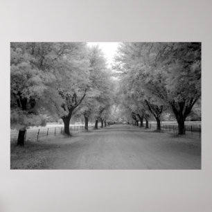 Póster Una carretera rural