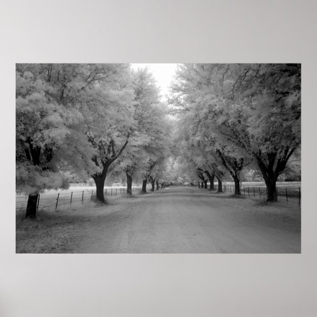 Póster Una carretera rural (Frente)
