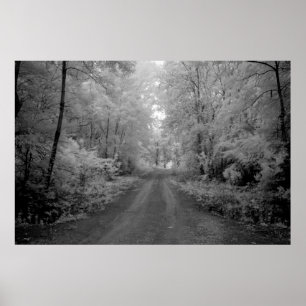 Póster Una carretera rural