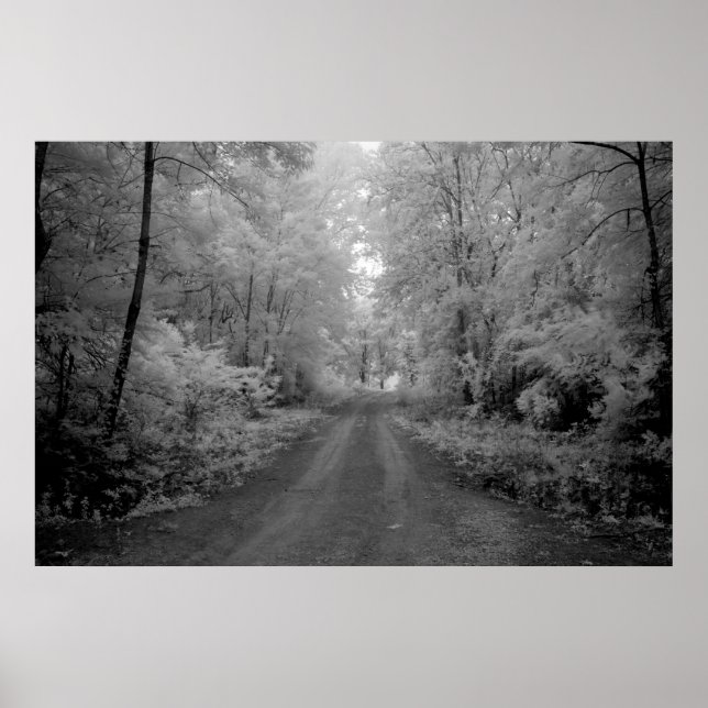 Póster Una carretera rural (Frente)