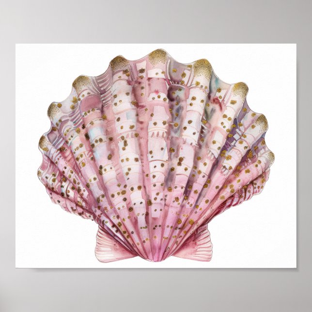 Póster Una concha de invertebrado rosa (Frente)