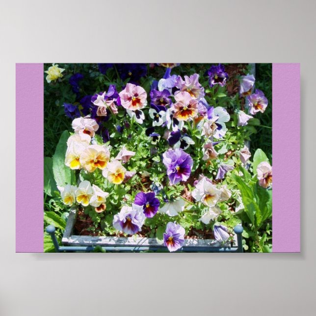 PÓSTER UNA DIVERSIÓN DE COLOR (Frente)