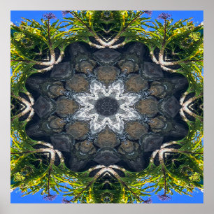 Póster Una estrella en el estanque.....