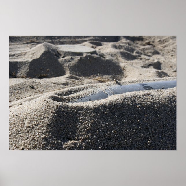 Póster Una exhibición estática de una concha de artefacto (Frente)