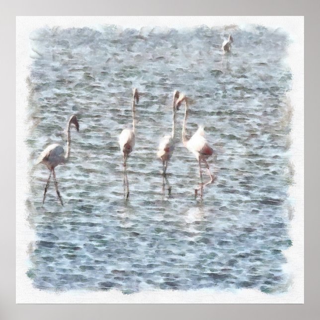 Póster Una Flamboyante Patata De Flamingos (Frente)