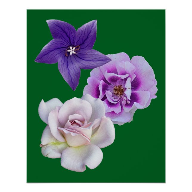 Póster Una flor (Anverso)
