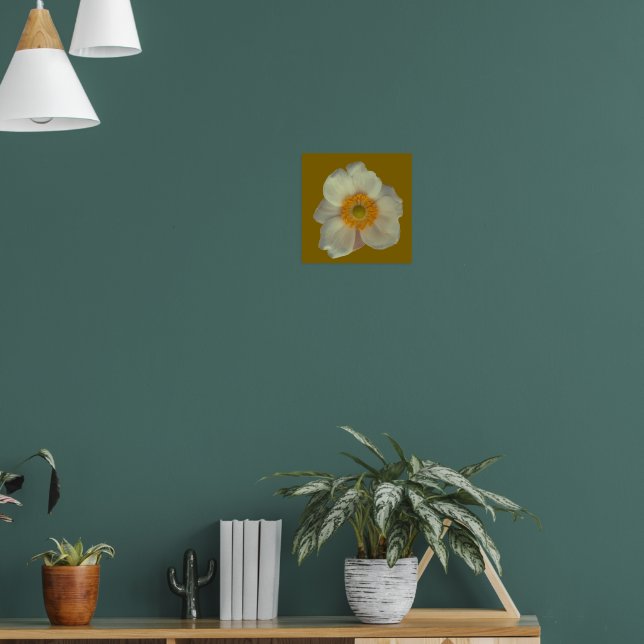 Póster Una flor blanca (Salón 1)